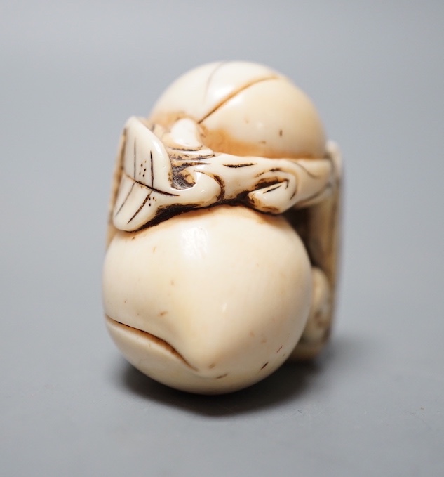 An 18th / 19th Chinese ivory 'monkey and peach' toggle. 4cm